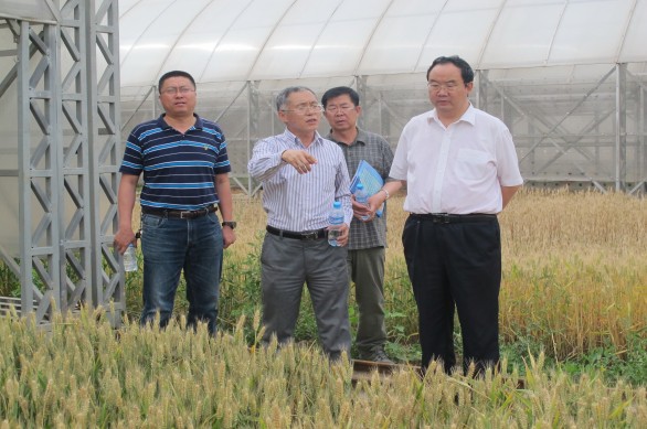 918博天堂(中国区)官方网站