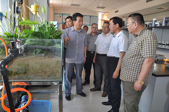 918博天堂(中国区)官方网站