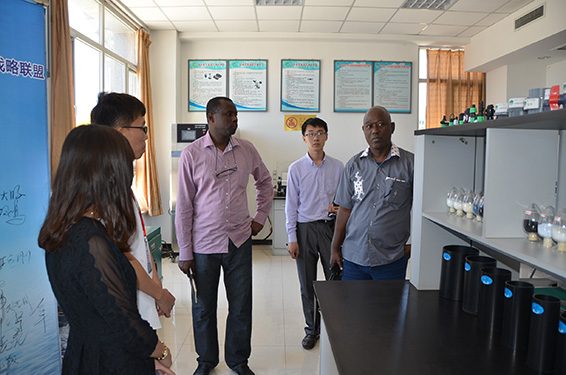 918博天堂(中国区)官方网站